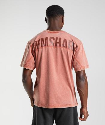 Pánské T Shirts Gymshark Power Washed Růžové Hnědé | CZ 2547FDN